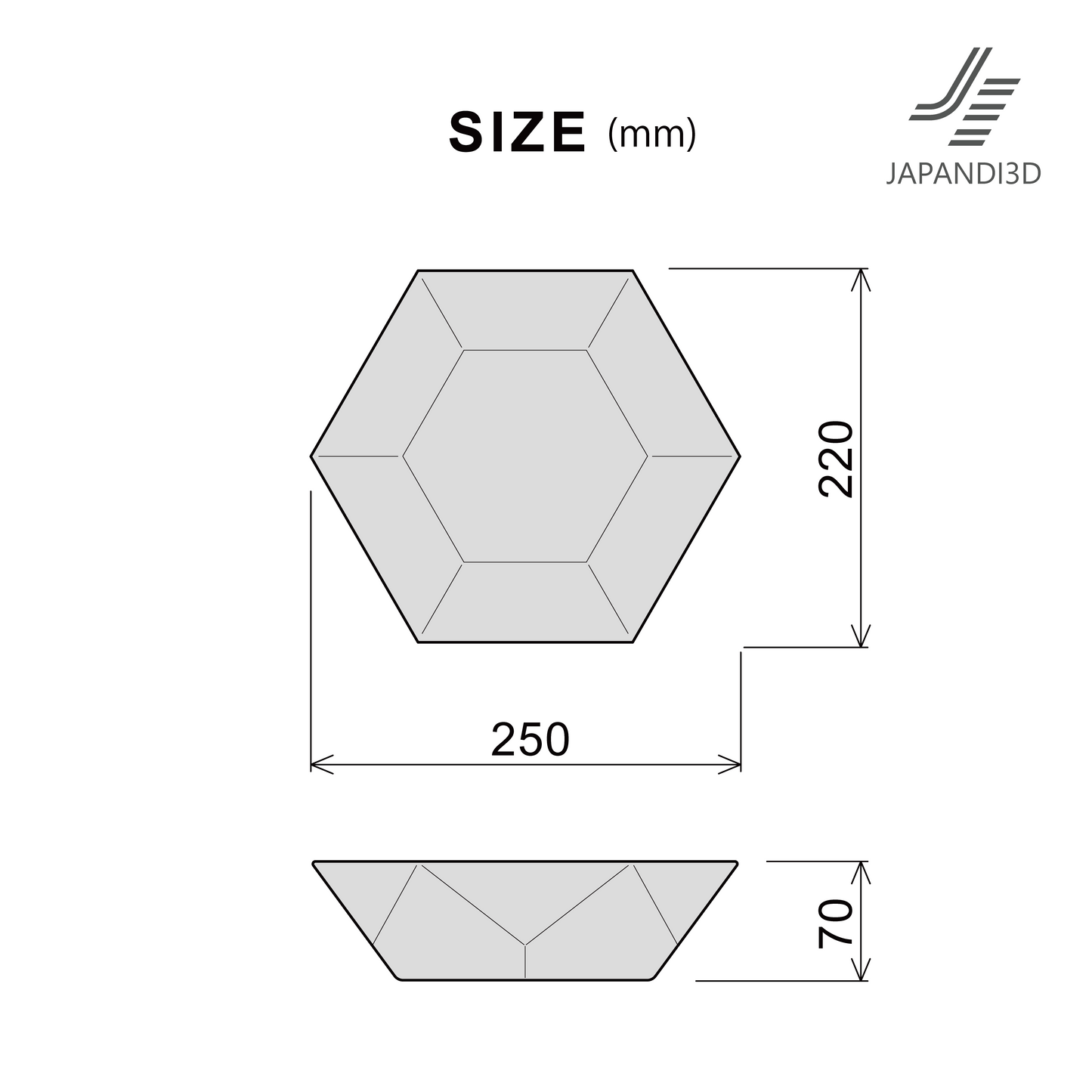 size chart showing dimensions of tray object, W250 D220 H70 mm