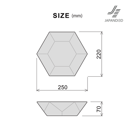 size chart showing dimensions of tray object, W250 D220 H70 mm