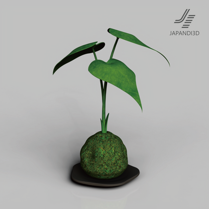 Kokedama plant 3D model with saucer – alocasia leaf and moss ball, FBX GLB