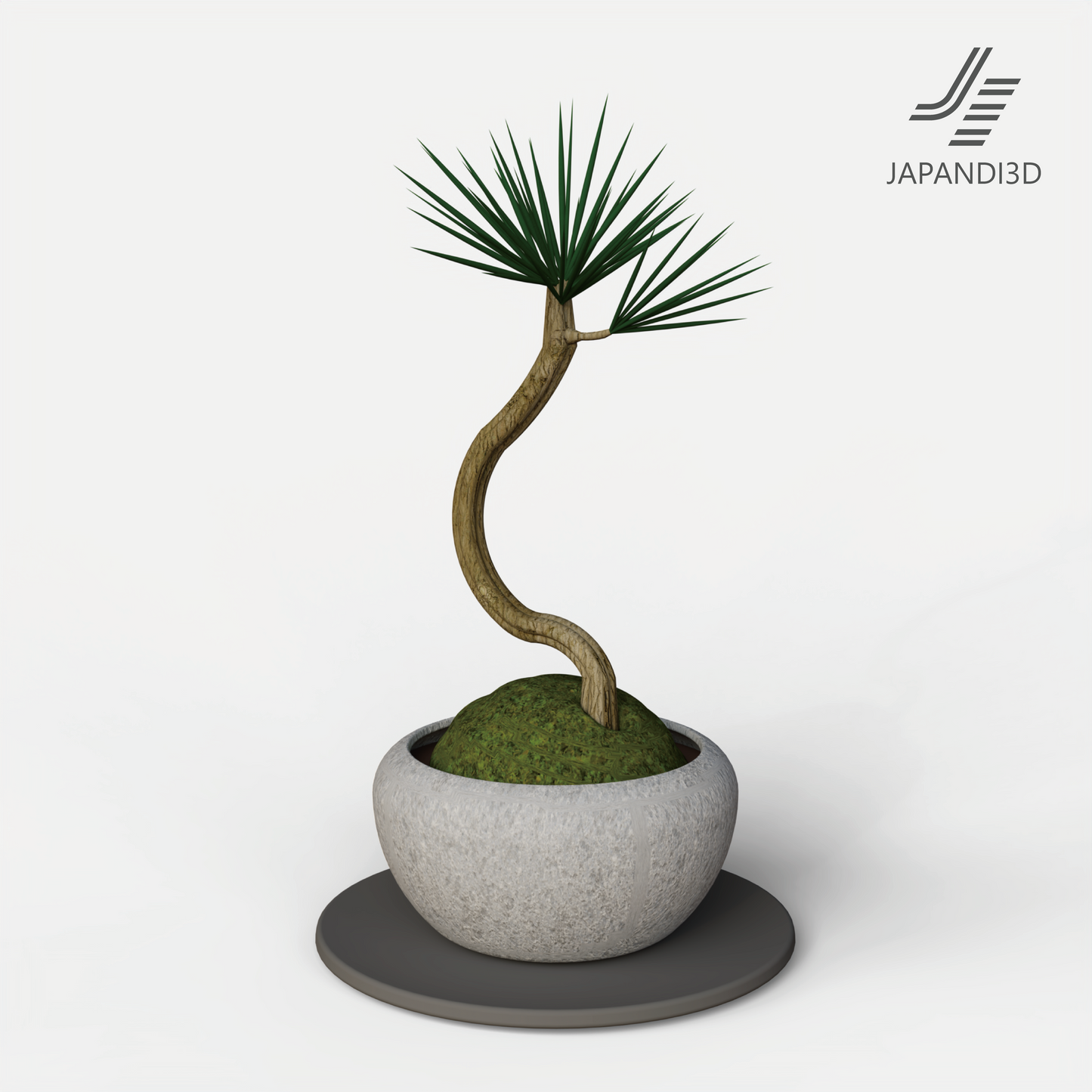 Japanese pine bonsai 3D model for architectural visualization – shelf or entryway scene