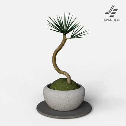Japanese pine bonsai 3D model for architectural visualization – shelf or entryway scene