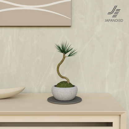 Pine bonsai 3D model with curved trunk in Japandi interior scene – archviz FBX GLB