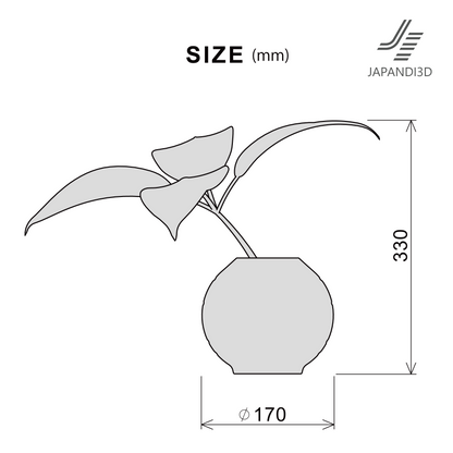 Botanical Leaf Size Chart - Dimensions Height 330mm Diameter 170mm - Specifications