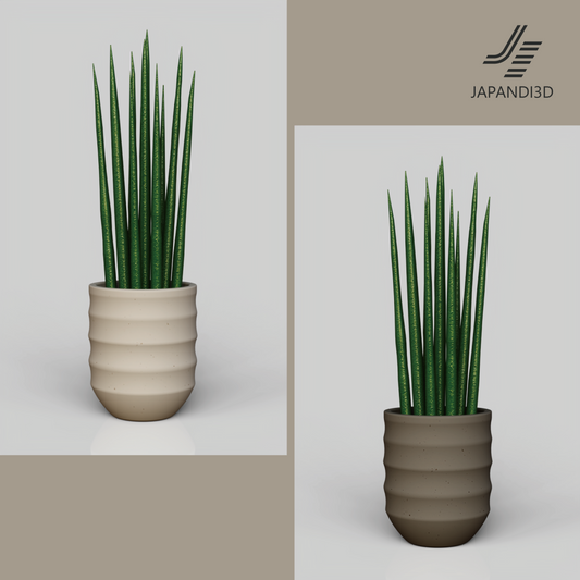 Sansevieria 3D model in Japandi living room – three pot color variants