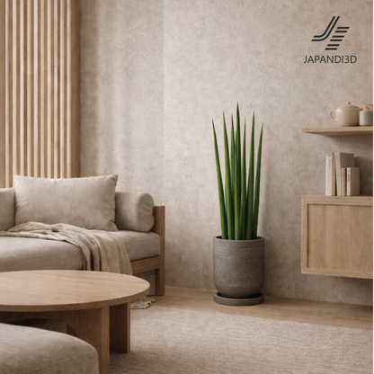 Sansevieria / 3-color set