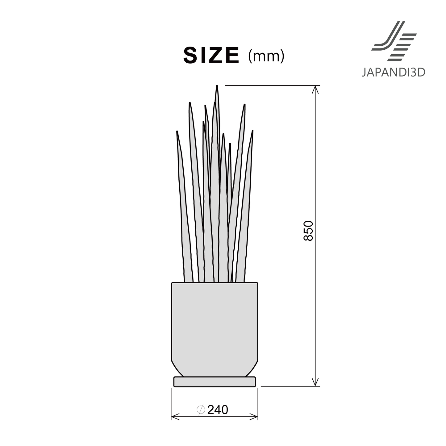 Sansevieria / 3-color set