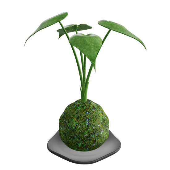 KOKEDAMA Plant - 3D model