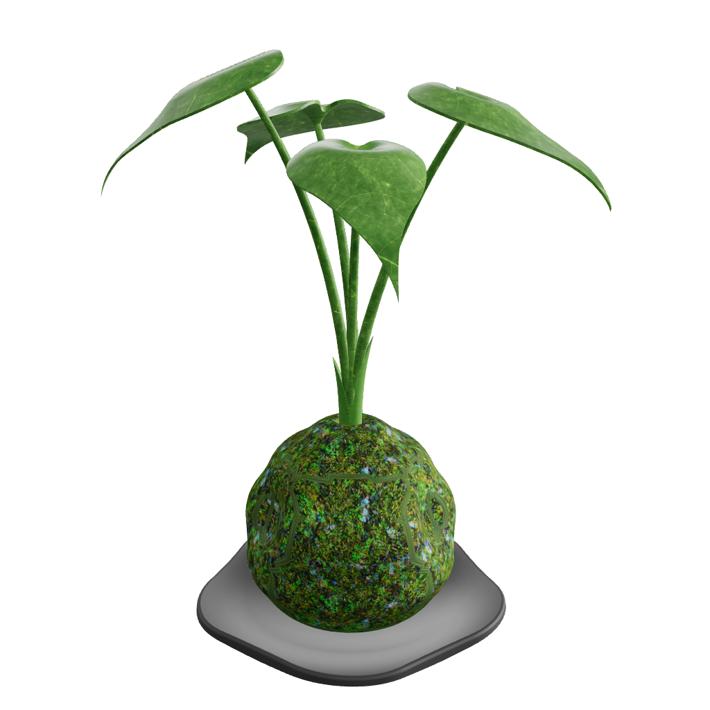 KOKEDAMA Plant - 3D model