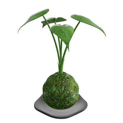 KOKEDAMA Plant - 3D model