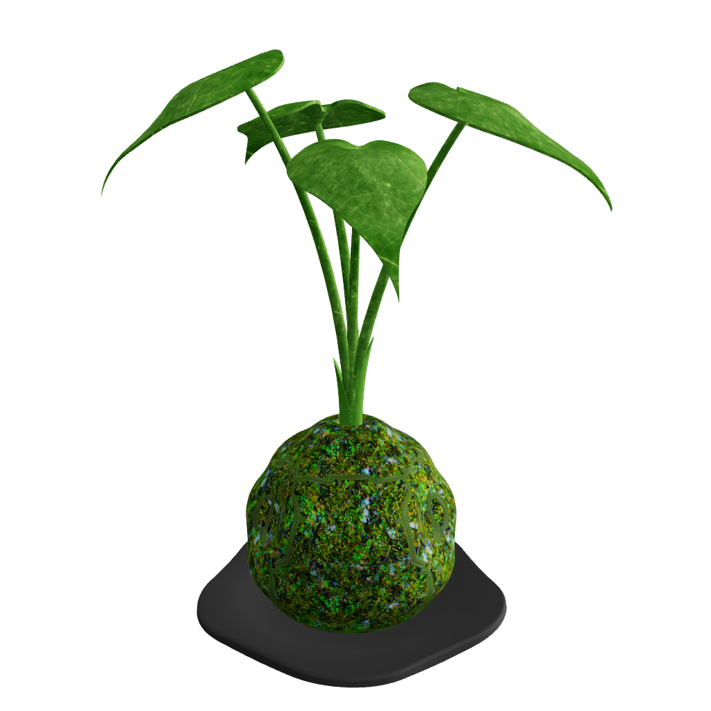 KOKEDAMA Plant - 3D Model Interactive Preview - Moss Ball with Alocasia Width 150mm Height 320mm