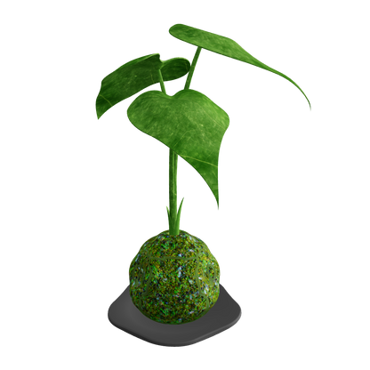 3D model preview of Kokedama moss ball plant – GLB viewer compatible