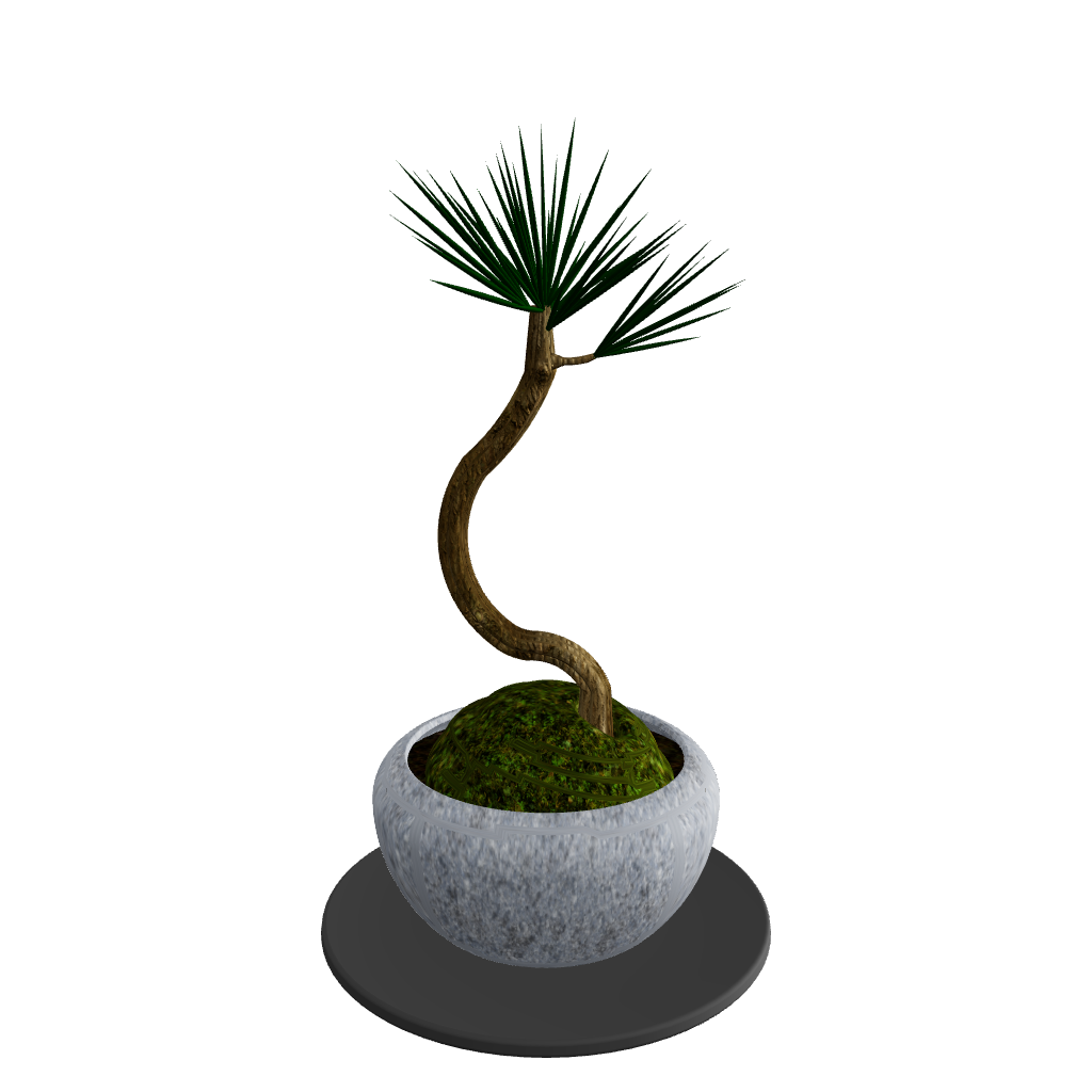 Pine bonsai curved trunk 3D model – includes pot, moss and saucer, H325mm φ185mm