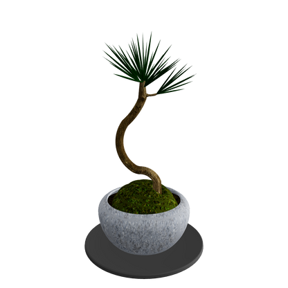 Pine bonsai curved trunk 3D model – includes pot, moss and saucer, H325mm φ185mm
