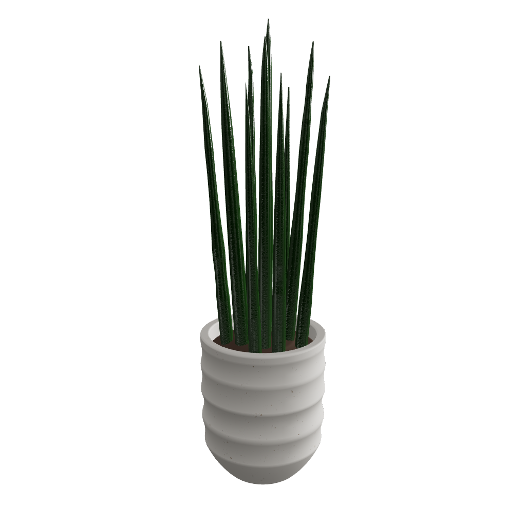 Sansevieria 3D model with Light ceramic pot – GLB FBX format