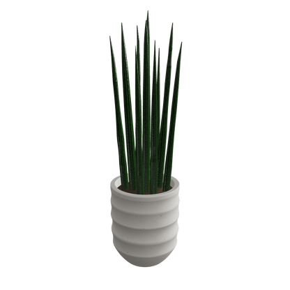 Sansevieria 3D model with Light ceramic pot – GLB FBX format